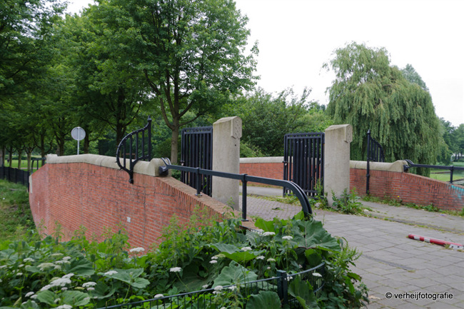 De Desidiriusbrug vormt de verbinding tussen de drukke stad en het rustige park
              <br/>
              Annemarieke Verheij, juni 2015